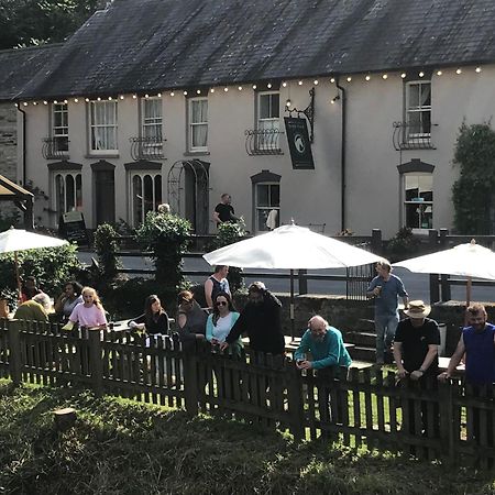 The Nags Head Inn Abercych エクステリア 写真